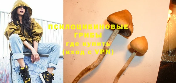 соль ск Горняк