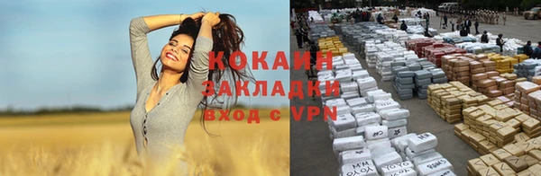 соль ск Горняк