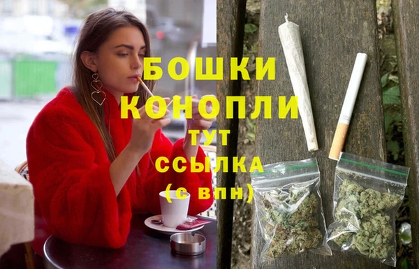 соль ск Горняк