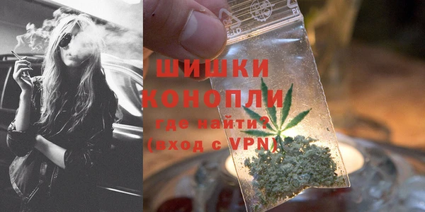 гидра Горно-Алтайск
