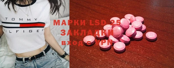 гидра Горно-Алтайск