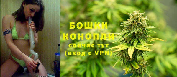 соль ск Горняк