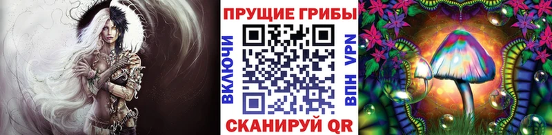 Псилоцибиновые грибы ЛСД  Купить где  Полесск 